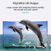 Перехідник DisplayPort HDMI 4K Vention